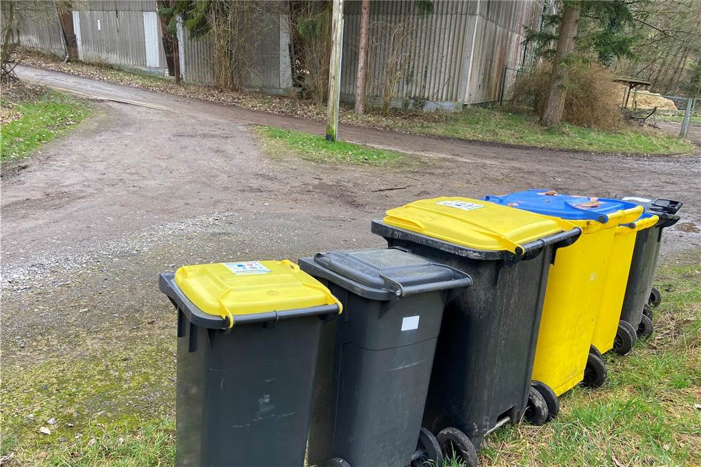 EDG fährt Privatweg nicht mehr an: Anwohner sind empört Mülltonnen stehen in einer Reihe.