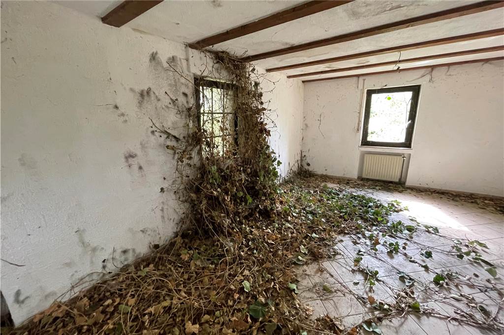 Straßenbauarbeiten am Haus Füchteln: Pleite der Baufirma sorgt für Verzögerung Die Natur hatte sich das seit 2009 leer stehenden Haus schon teilweise zurückerobert. 2021 ist es dann aber verkauft worden, die Besitzer sanieren es gerade.