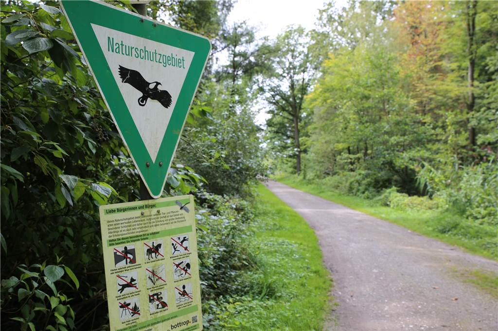 Stadt will Halde Schöttelheide zum Naturschutzgebiet erklären Die Natur soll auch weiterhin auf der Halde Schöttelheide unbedingt geschützt werden, meint die Stadt Bottrop.