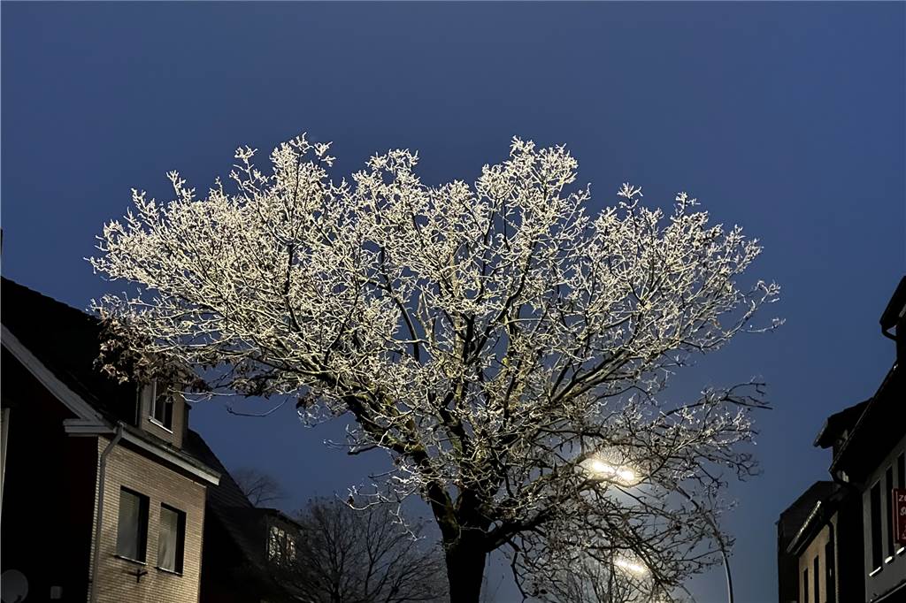 Die Nordkirchener Straße morgens um viertel vor acht.