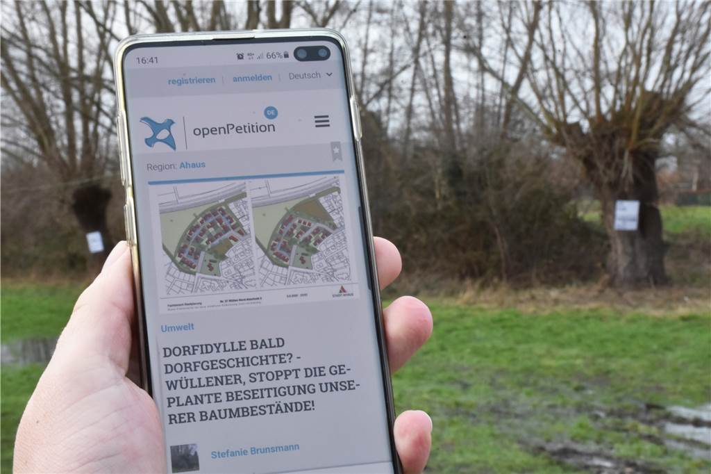Baugebiet Wüllen: Junge Generation wehrt sich gegen Baumfäll-Petition Die Online-Petition läuft noch sieben Wochen. Ob sie Erfolg hat, wird sich schon bald zeigen.
