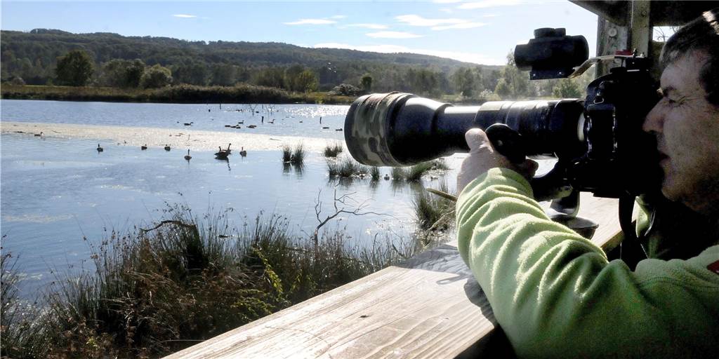 Röllingwiese geflutet: Wasserwerke geben der Ruhr ihr Wasser zurück Die Ornithologen können von der Aussichtsplattform an der Röllingswiese endlich wieder Vögel und Libellen beobachten.