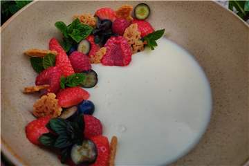 Die Panna Cotta mit Beeren ist ein perfekter Sommer-Nachtisch.