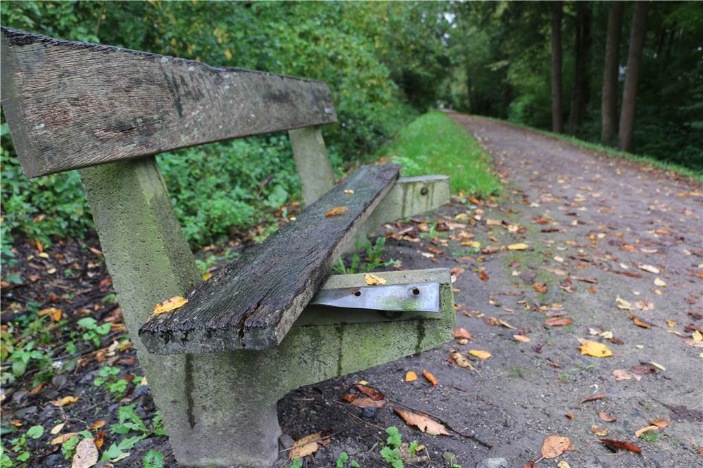 Mann outet sich: Der Plastik-Mülleimer am Radweg ist von mir Die Parkbank am Radweg in Höhe Danziger Straße in unbrauchbar. "Wenn ich ein Brett hätte, dann würde ich sie schon längst repariert haben", sagt Anwohner Manfred Lawicki.