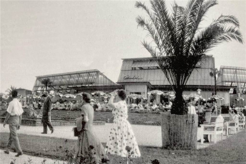 Café Orchidee im Rombergpark schließt: Stammgäste auf Abschiedstour Ein Schwarzweiß-Bild zeigt das Café Orchidee in den 1950er-Jahren.