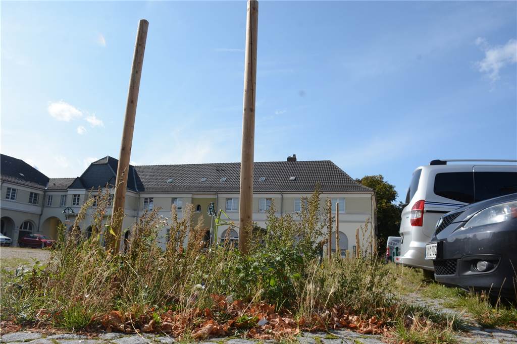 Die Pflöcke an den geplanten Standorten der neuen Bäume am Brunnenplatz sind bereits gesetzt.
