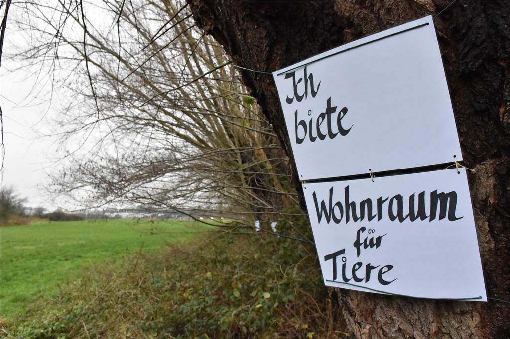 Baugebiet Wüllen-Nord: Bürgerinnen wollen Baumfällung verhindern Die Plakate sollen den Prostet der Gruppe zum Ausdruck bringen und zur Diskussion anregen.