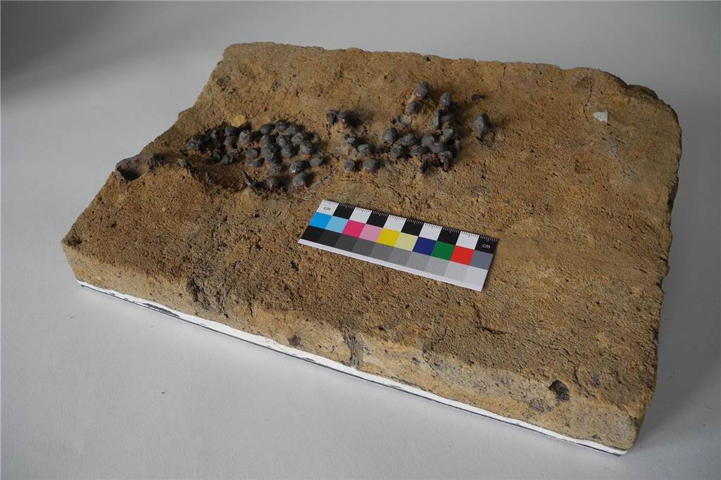 Neue archäologische Funde am Rande des Römerlagers Präparierte Schuhnägel eines Marschstiefels