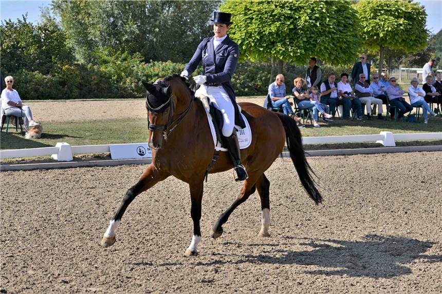 Internationale Klasse ist zu Gast in Dorsten Die Qualifikation zum Nürnberger Burg-Pokal ist einer der Höhepunkte der IX. Dressurtage auf Gut Hohenkamp.