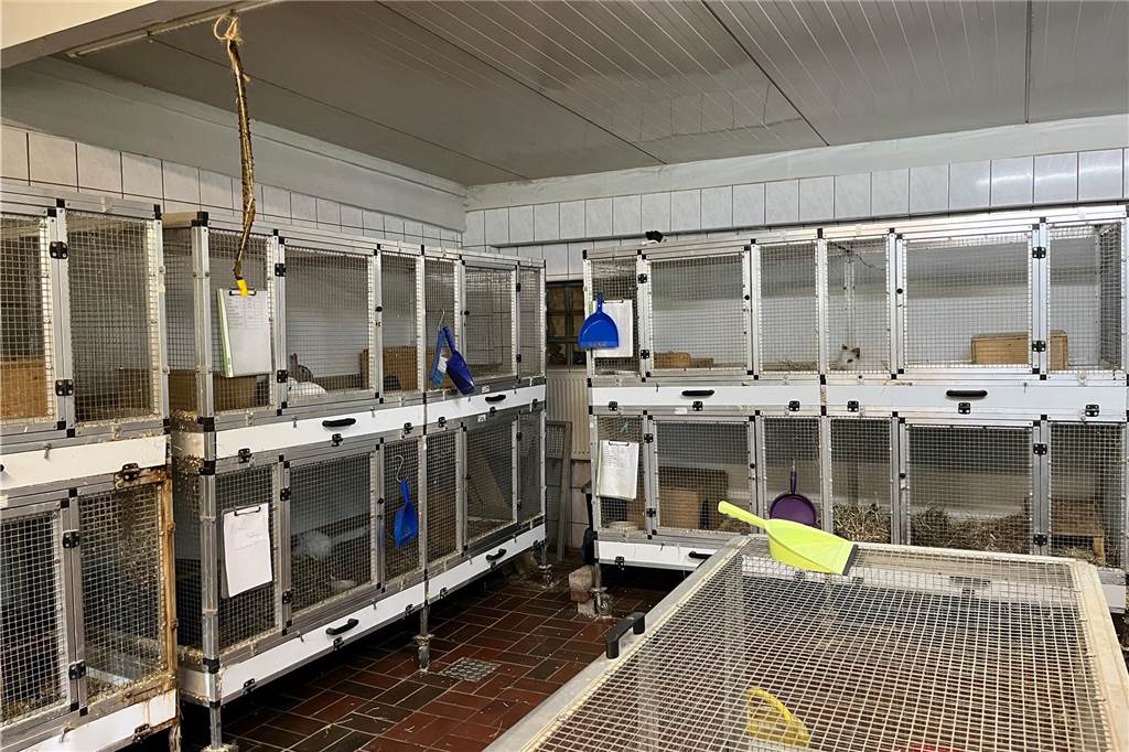 Ein Tierheim, geführt wie ein effizientes Unternehmen Die Räume der Kleintiere im Tierheim in Castrop-Rauxel.