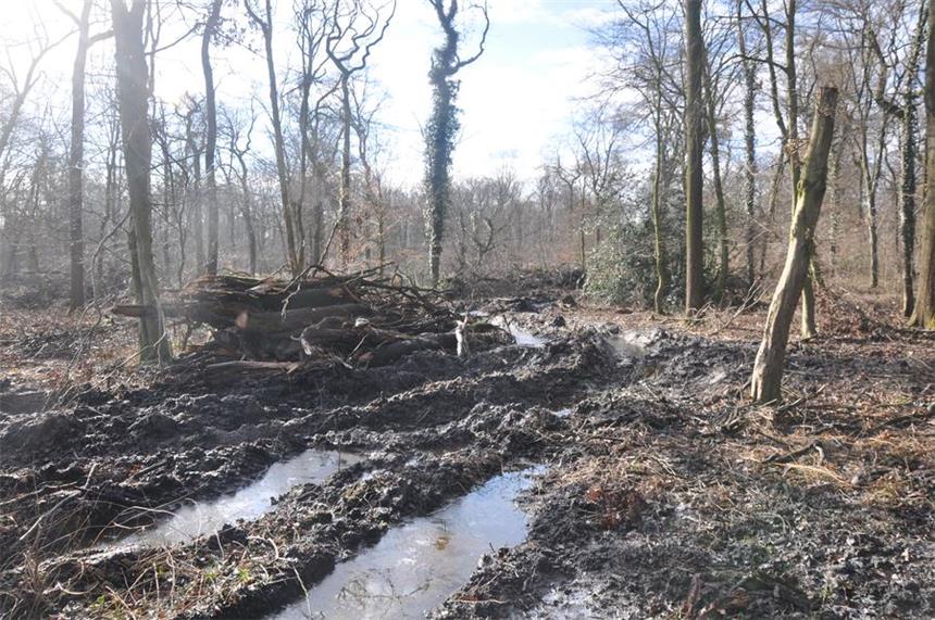Die Räumfahrzeuge hinterlassen im Waldboden im Castroper Holz tiefe Furchen.
