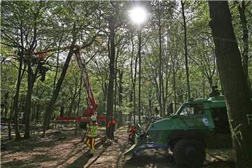 Die Räumung der Baumhäuser von Umweltaktivisten im Hambacher Forst geht weiter. Foto: Oliver Berg