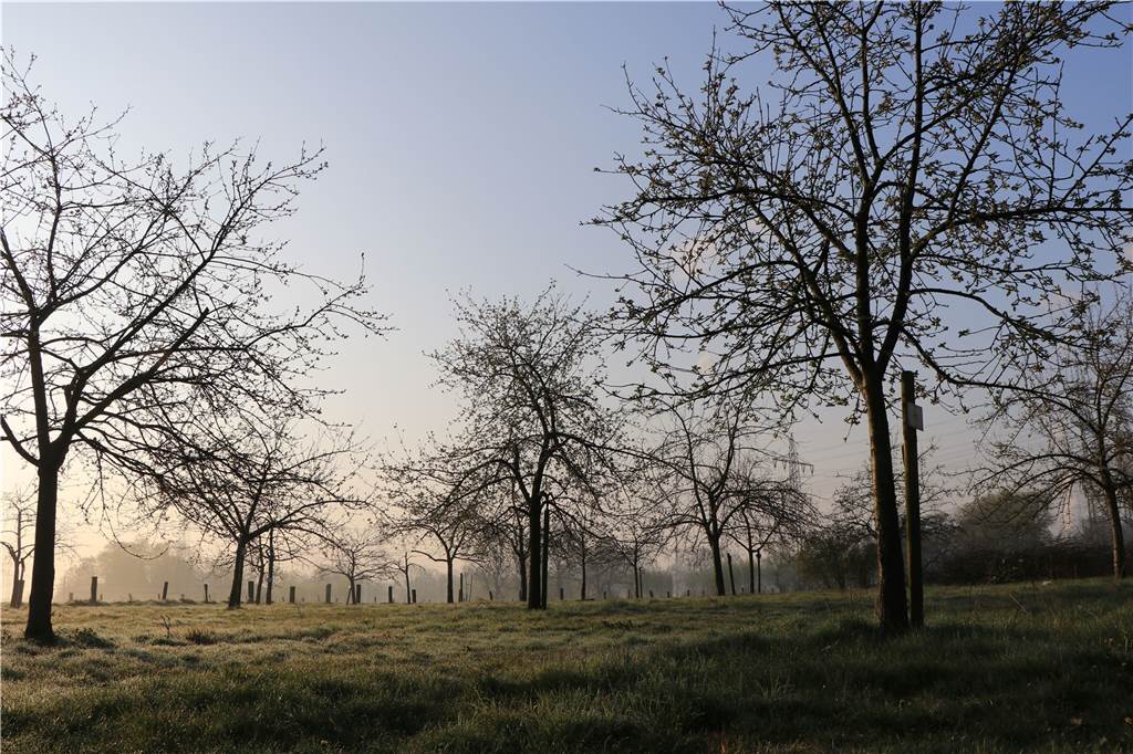 Lange vernachlässigt: Doch nun erblüht Vorzeigeprojekt zu neuem Leben Sabine Fischer (Leiterin Stadtagentur), Tobias Dalhaus (Hofbesitzer) und Hans Rommeswinkel (Planungsamt der Stadt) im Ruhr-Kultur-Garten am Hof Dalhaus in Altendorf-Ulfkotte.