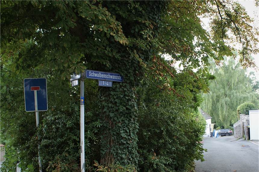 Angstraum Schwalbenschwanzstraße: Kosten für Beleuchtung im fünfstelligen Bereich Die – relativ kleine – Schwalbenschwanzstraße soll nun eine neue Beleuchtung erhalten.