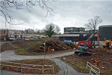 Die Rodungsarbeiten neben dem Petrinum-Parkhaus und dem Kanal haben vom Ausmaß her viele Bürger überrascht.