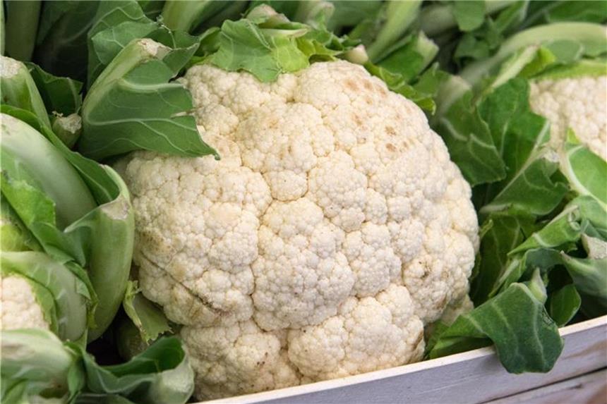 Blumenkohl zehn Minuten in Wasser einlegen Die Röschen des Blumenkohls liegen eng beieinander: Vor dem Waschen sollte man den Kopf deshalb zerlegen. Foto: Andrea Warnecke