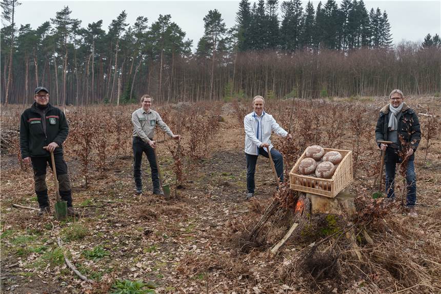 Für mehr Bäume in der Region: Neues „Waldbrot“ in Haltern erhältlich Die RVR-Forstfachleute Lukas Siebert und Frederik Vollmer sowie Klaus Wansing und Detlef Becker vom Unternehmen CSM Bakery Solutions freuen sich über die Kooperation.