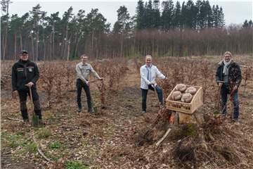 Die RVR-Forstfachleute Lukas Siebert und Frederik Vollmer sowie Klaus Wansing und Detlef Becker vom Unternehmen CSM Bakery Solutions freuen sich über die Kooperation. 