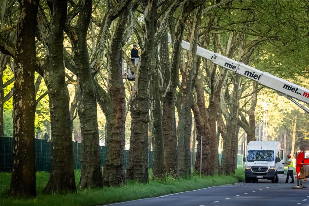Die sanierte Fußgängerbrücke Chemnitzer Straße wird an der gesperrten B1 wieder montiert.