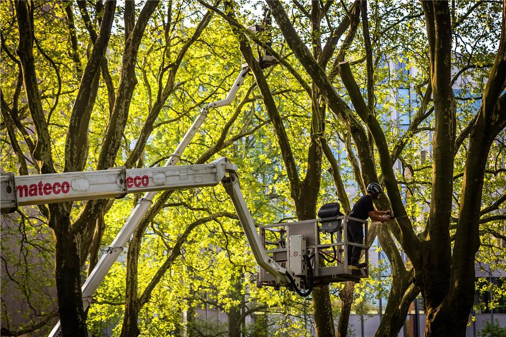 Die sanierte Fußgängerbrücke Chemnitzer Straße wird an der gesperrten B1 wieder montiert.