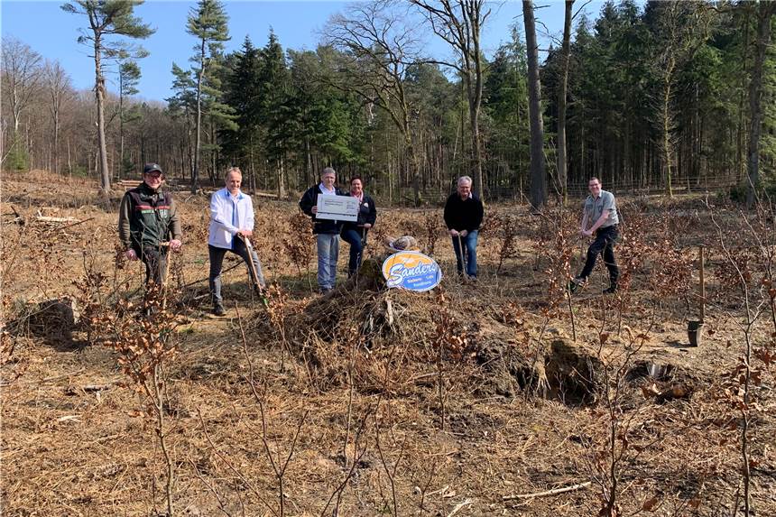 3000 Brote in Haltern für 450 neu zu pflanzende Bäume verkauft Die Scheckübergabe im Halterner Wald.
