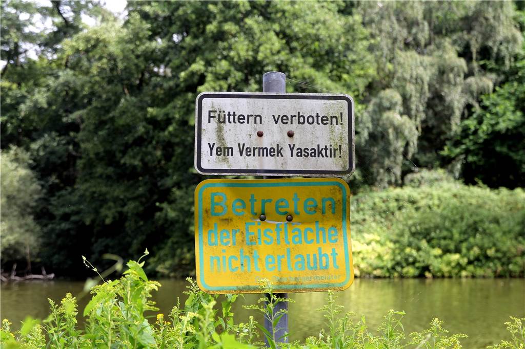 Das verschandelte Paradies von Eving Die Schiulder im PArk sind teilweise zweisprachig. Die Leute füttern trotzdem die Enten.
