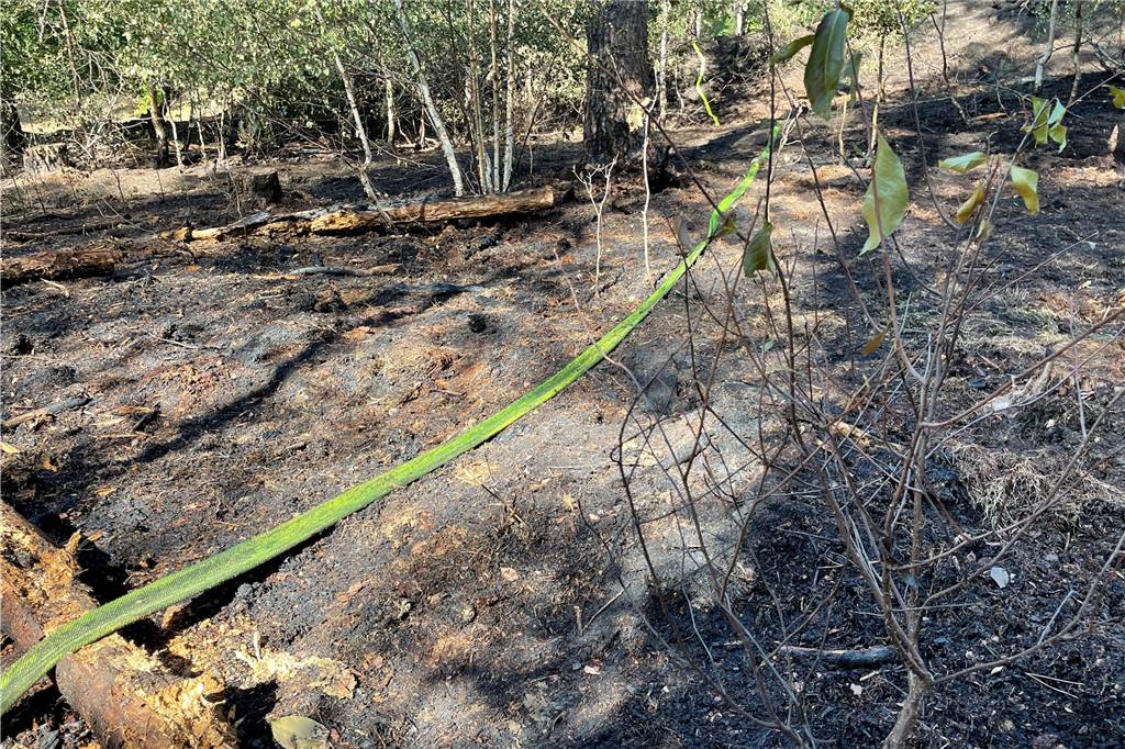 Großeinsatz: Über 10.000 Quadratmeter Wald standen am Silbersee 3 in Flammen Die Schläuche verblieben zunächst im Gelände.