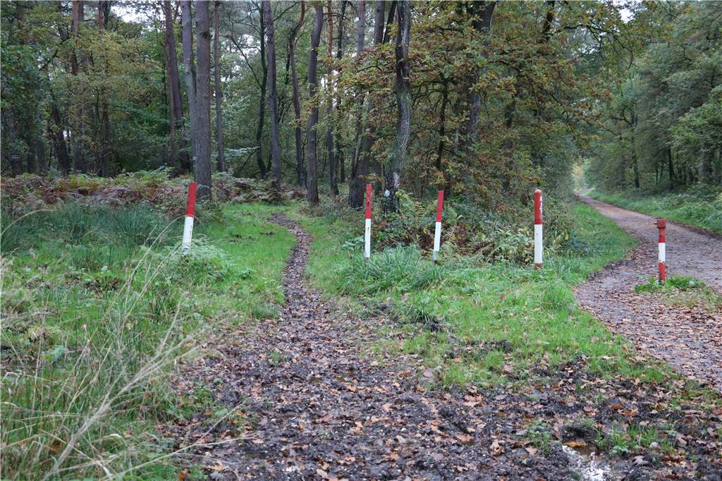 Die schlammigen Löcher am Wegesrand, die eigentlich Reitweg sein sollten, seien noch bessere Beispiele für die teils unpassierbaren Passagen.