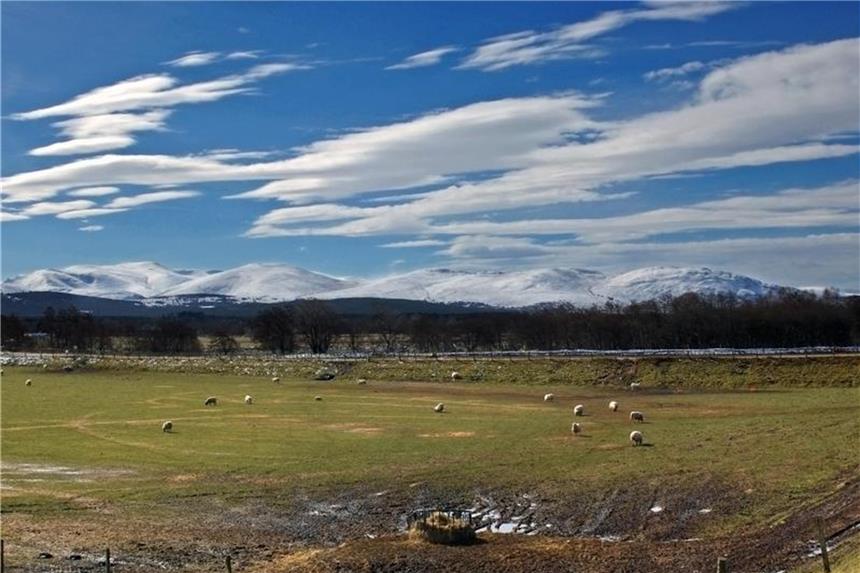 Ausflugstipps: Panorama-Route und Feinschmecker-Park Die schottische Snow Roads Scenic Route führt durch die östlichen Cairngorms-Berge nach Grantown-on-Spey. Foto: Andreas Heimann/tmn/dpa/Archiv