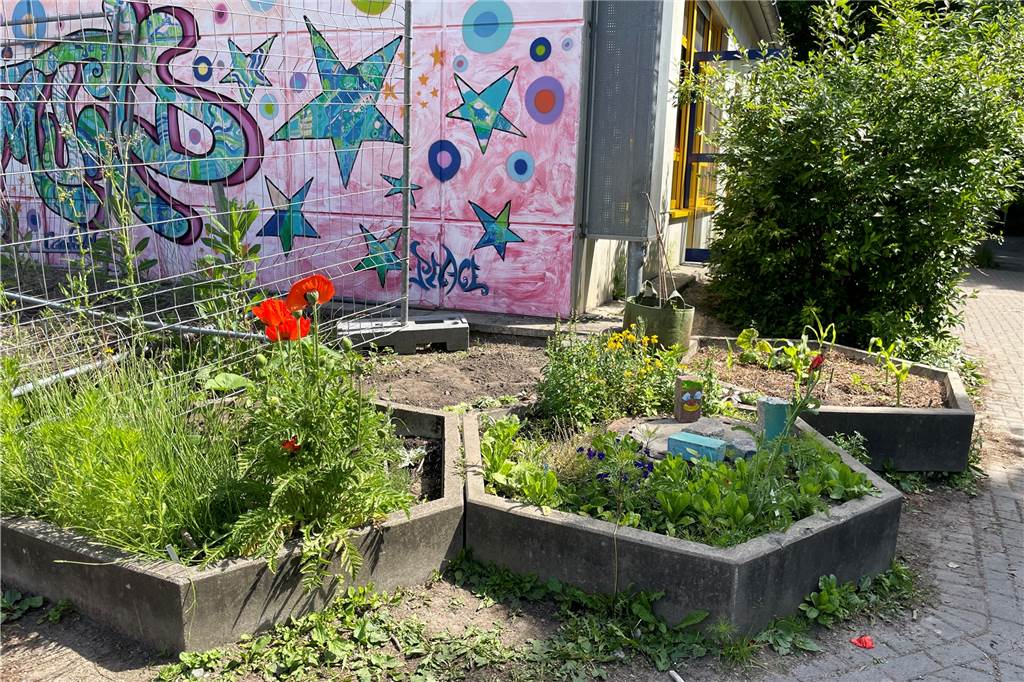 Die Schülerinnen und Schüler pflanzen bereits essbare Pflanzen auf dem Schulhof an.