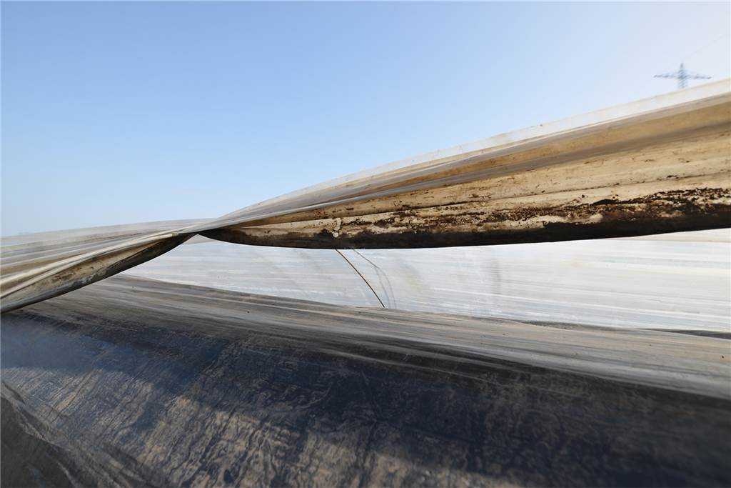 „Sich was gönnen“: Spargel ist noch begehrter als ohnehin schon Die schwarze Folie auf dem Wall schützt den Spargel vor Licht und sie erzeugt Wärme. Durch den lichtdurchlässigen weißen Tunnel darüber entsteht ein 60 Grad heißer Luftstrom, der das Wachstum fördert.