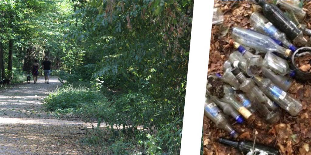 Müll im Zechenbusch: Selmerin ärgert sich über Spuren von Trinkgelage Die Selmerin Ria Timte hatte bei einem Spaziergang durch den Zechenbusch mehrere Glasflaschen gefunden.
