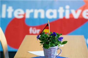Die Sicherheitslage habe sich „dramatisch verschärft“, eine blutige Entwicklung setze sich ungebremst fort, behauptet AfD-Fraktionschefin Alice Weidel. Foto: Oliver Dietze