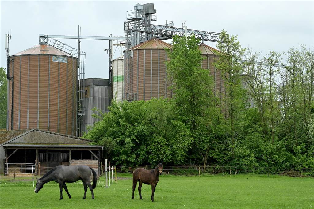 Pläne für Umgehungsstraße: Familie fühlt sich überrumpelt Die Silos von Raiffeisen in unmittelbarer Nachbarschaf sind eine von mehreren Lärmquellen, denen Familie Große-Frintrop ausgesetzt ist.