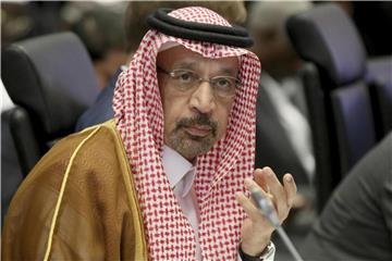 „Die Situation hat einen Richtungswechsel nötig gemacht“, so Saudi-Arabiens Energieminister Khalid Al-Falih. Foto: Ronald Zak/AP
