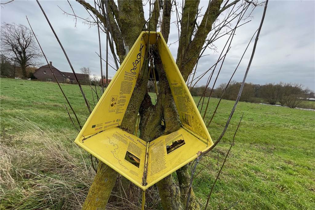 Die sogenannten Baumstationen, die im Zuge des Regionale-Projekts Zweistromland aufgestellt wurden, führen vorbei an der Burgruine der Rauschenburg auf der Gräfteninsel. Wanderinnen und Wanderer erhalten Informationen. 
