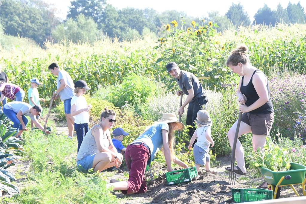 Hochwasser der Lippe: Solawi Lippeauen Bork liegt hoch genug Die Solidarische Landwirtschaft Lippeauen Bork bestellt seit 2019 Gemüsekulturen.
