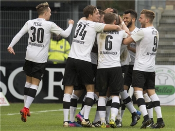 Die Spieler vom SV Sandhausen bejubeln das 1:0. gegen Erzgebirge Aue. Foto: Thomas Kienzle
