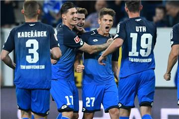 Die Spieler von 1899 Hoffenheim feiern den Treffer zum 2:1 gegen Hannover 96. Foto: Uwe Anspach