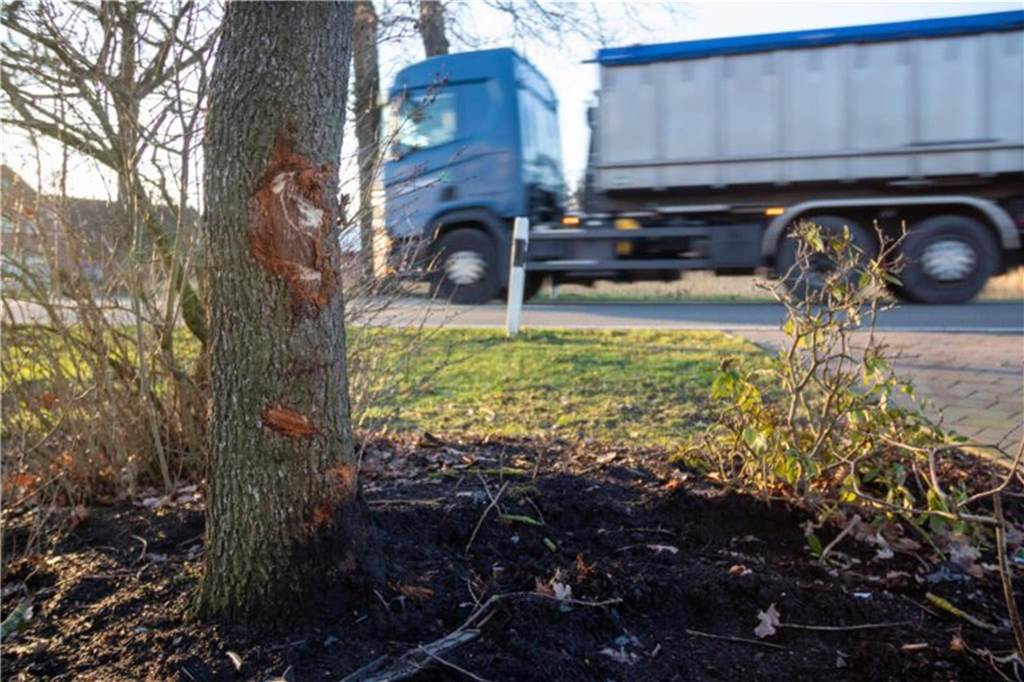 Polizei-Verfolgungsjagd in Averbeck: Mysteriöser Fall gelöst Schäden an einem Baumstamm