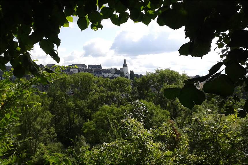 Heimatverein erkundet die Ruhr von der Quelle bis zur Mündung Die Stadt Arnsberg zeigt sich auch laubumkränzt von einer besonders schönen Seite.