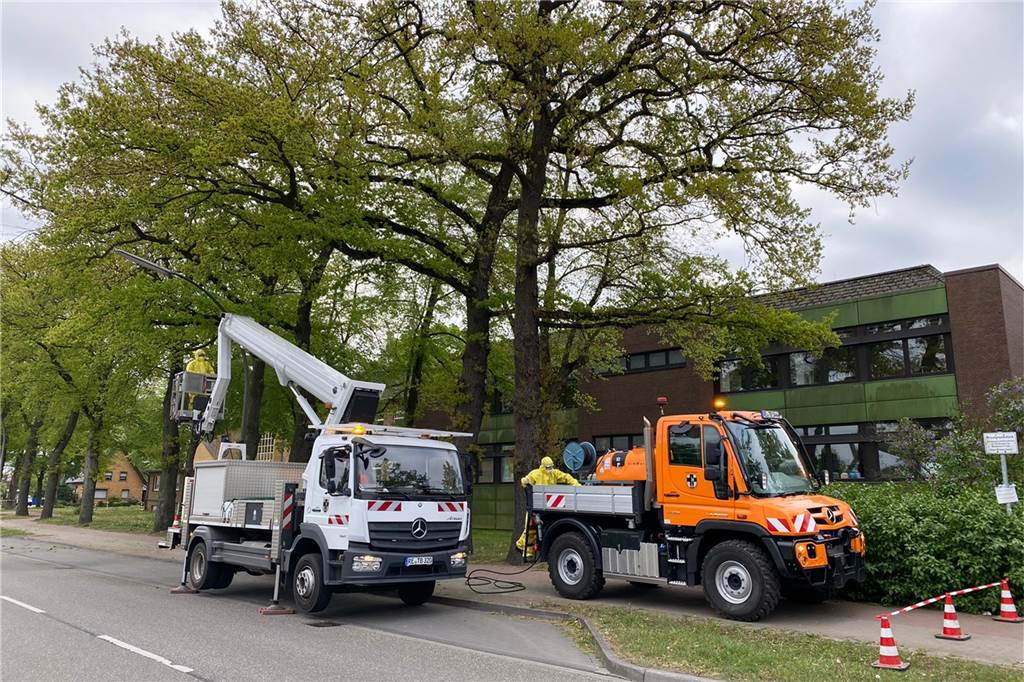 Attacke auf EPS startet am Montag in Dorsten an ausgewählten Orten Die Stadt begann am Wochenende bereits mit der Bekämpfung der Raupen entlang der B 58.