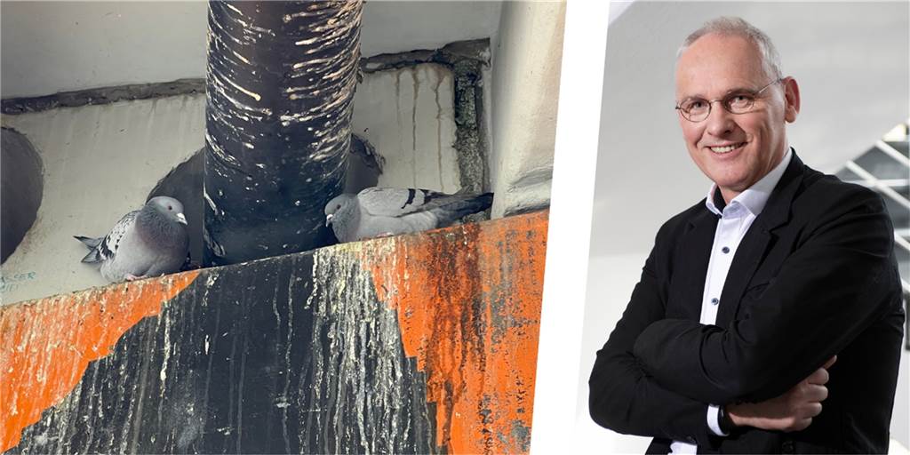 Die Stadt Lünen will nach Angaben ihres Technischen Beigeordneten Arnold Reeker das Taubenproblem in den Griff kriegen.