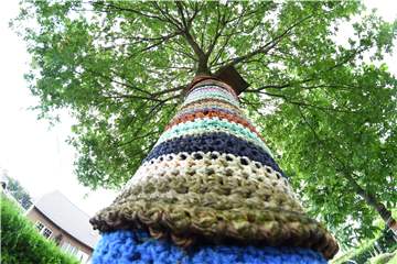 Die Stämme der Bäume in ihrem Garten hat die Nordkirchenerin Josefa Lobeck umhäkelt.