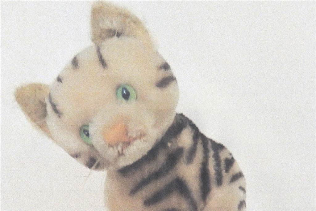 Die Steiff Katze hat Ingeborg Bolinger in den 50er-Jahren zu Weihnachten geschenkt bekommen. Bis heute wird sie von dem Stofftier begleitet.