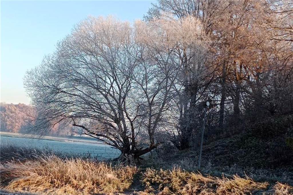 Die Stever wirkt bei diesem Frost besonders schön.