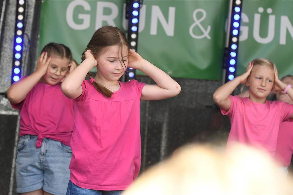 Die Tanz Etage bot dem Publikum eine bunte Mischung aus Ballett, Jazz, Hip Hop, Kindertanz Modern Dance und Dancehall, ehe sie später von den Tänzerinnen und Tänzern von Dance City abgelöst wurden. Musikalisch wurde es dann ab 16.30 Uhr, als das Duo Viva l‘amour Klassiker aus allen Jahrzehnten seit den 50er Jahren zum Besten gegeben hat. Bis knapp 22 Uhr konnte im Anschluss noch geschlemmt werden.
