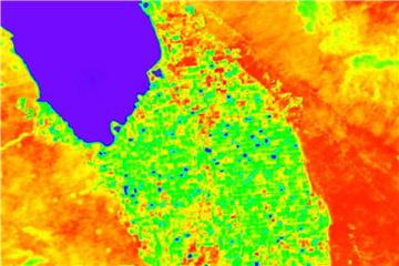 Die Temperatur lässt Rückschlüsse auf den Zustand der Gewächse zu. Foto: NASA