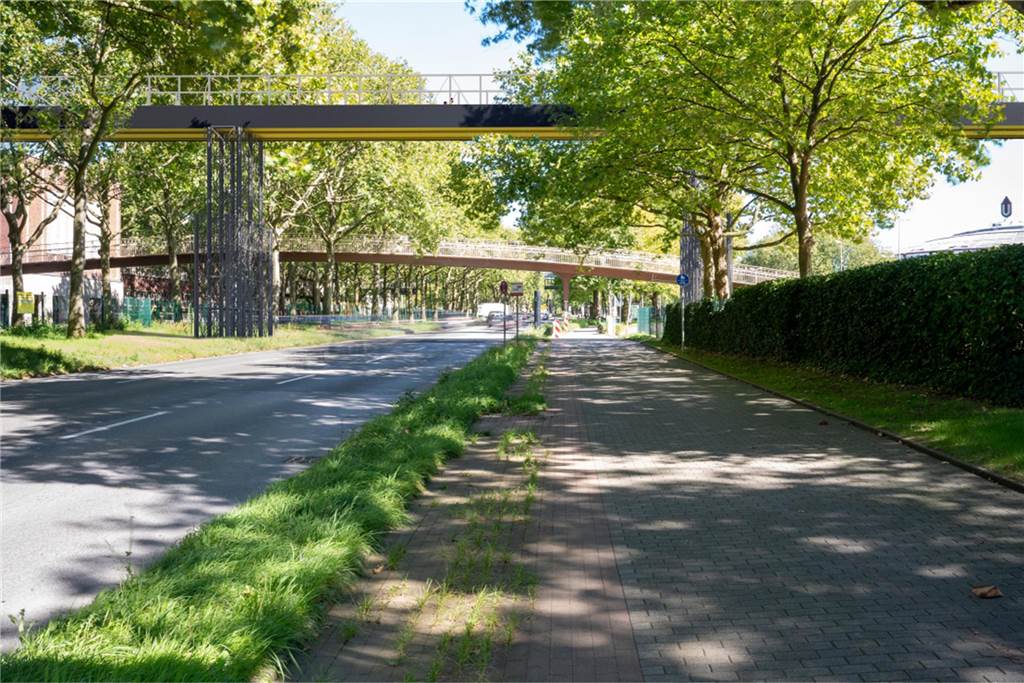 „Schwarz-gelbes Band“ zum Stadion überspannt Messegelände Die temporäre Gerüst-Brücke könnte neben der bestehenden Brücke über der B1 verlaufen.