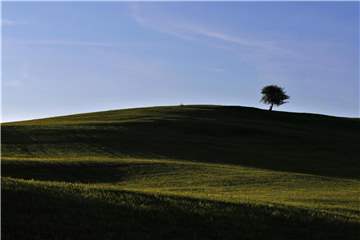 Die tief stehende Sonne wirft Lichtstreifen auf eine Wiese. Foto: Karl-Josef Hildenbrand
